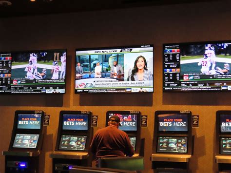 Americans bet $220 billion on sports in 5 years since legalization.